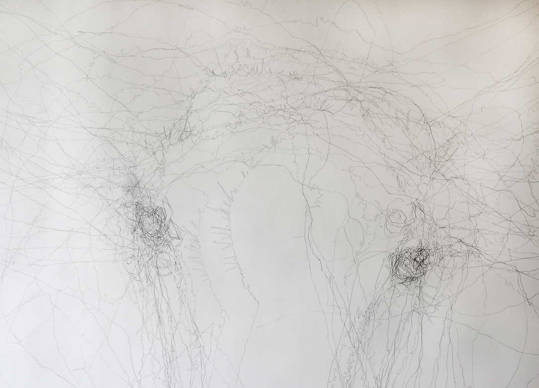 Livestock guardian dog with flock